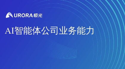 AI智能体公司业务能力