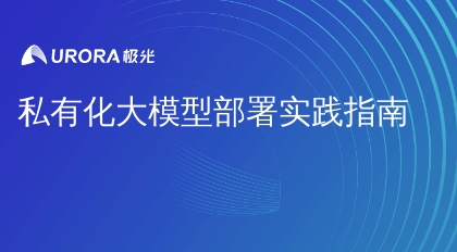 私有化大模型部署实践指南