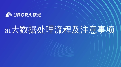 ai大数据处理流程及注意事项